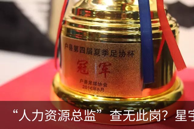 “人力资源总监”查无此岗？星宇股份：总监级别比部长高，相关人员已停职